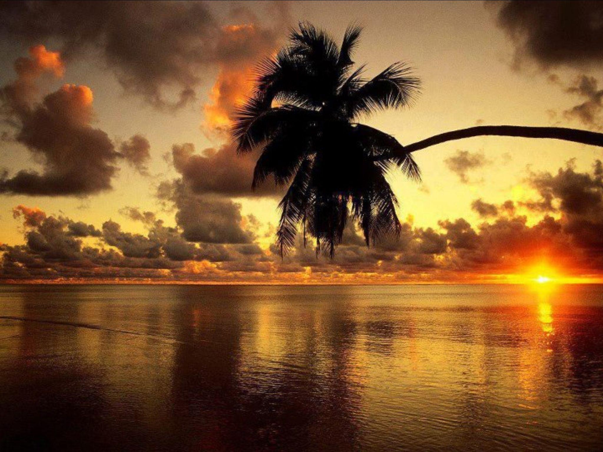 2048x1536 Beautiful Sunset at Beach Cook Islands (South Pacific Ocean). Beautiful sunrise, Sunset wallpaper, Sunrise beach