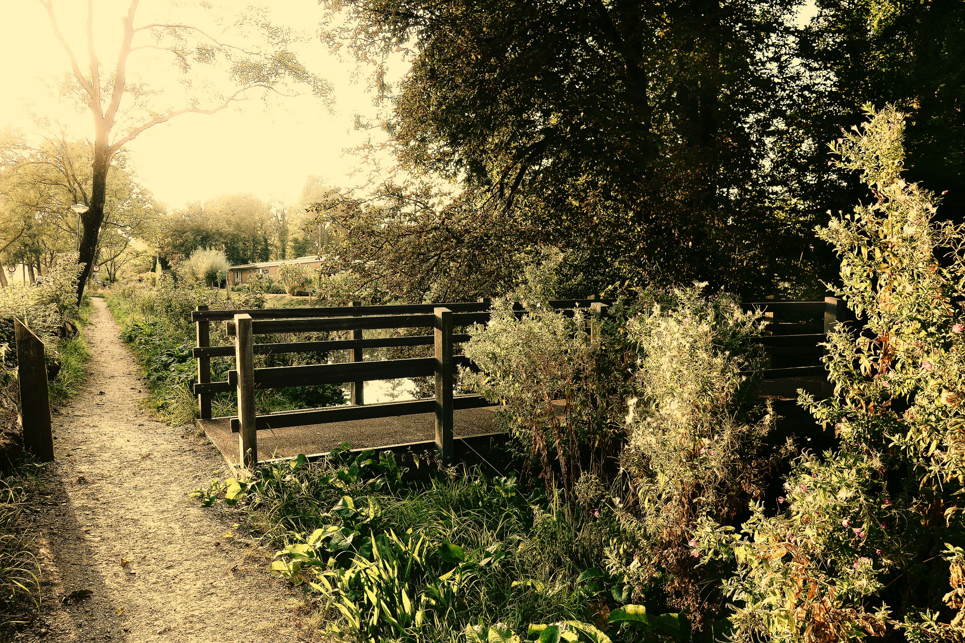 3840x2560 bridge, countryside, landscape, park, path, rural, serene, tranquil