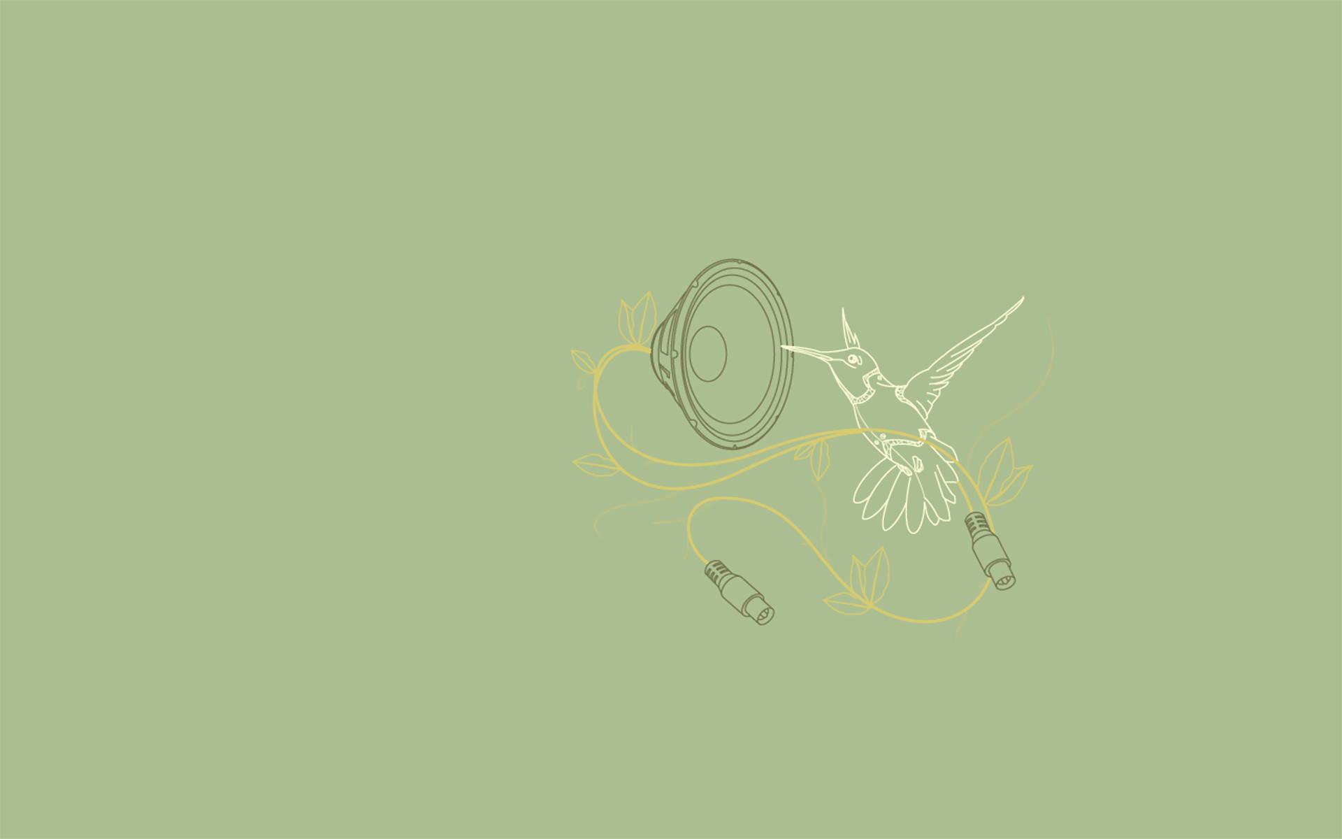 1920x1200 Download Hummingbird Minimalist iPad Wallpaper