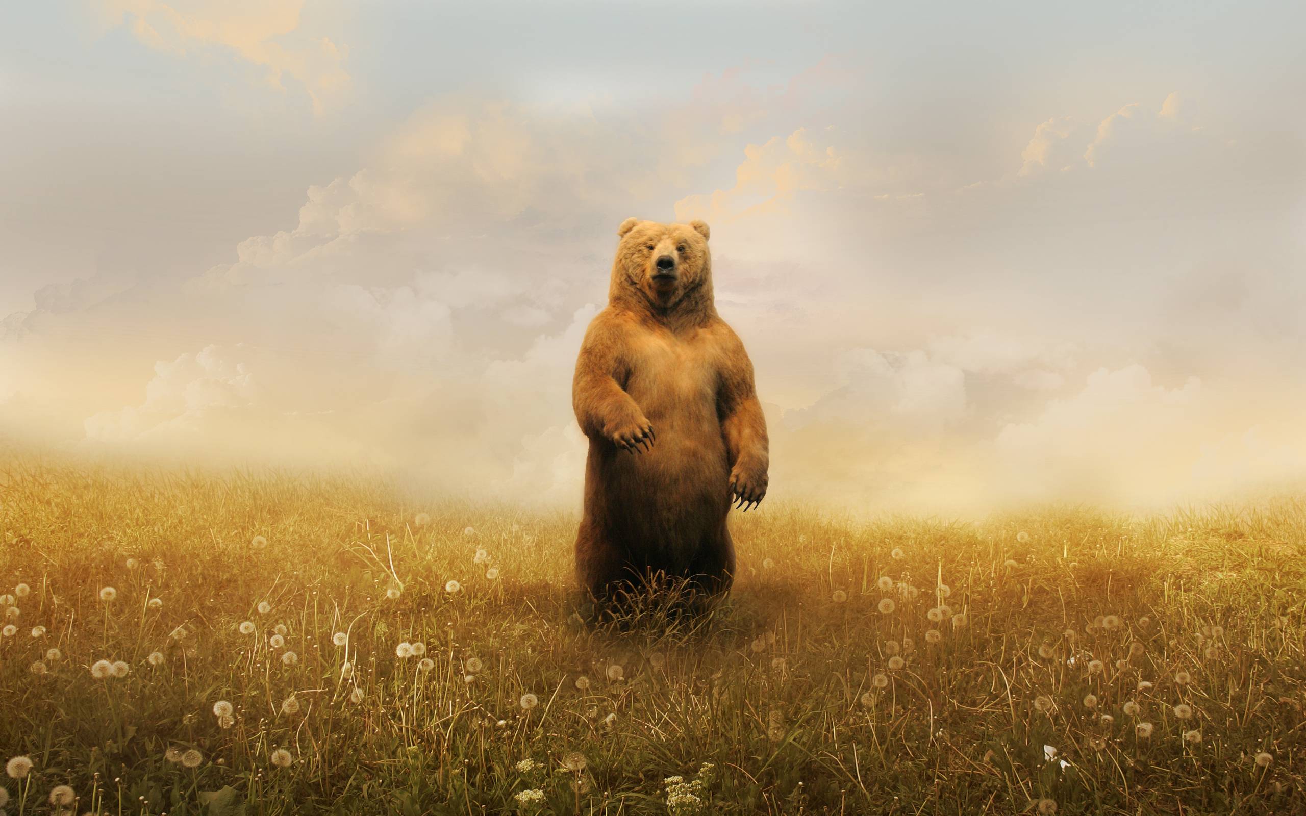 2560x1600 Bear Art Wallpaper Desktop Background Free Download > SubWallpaper