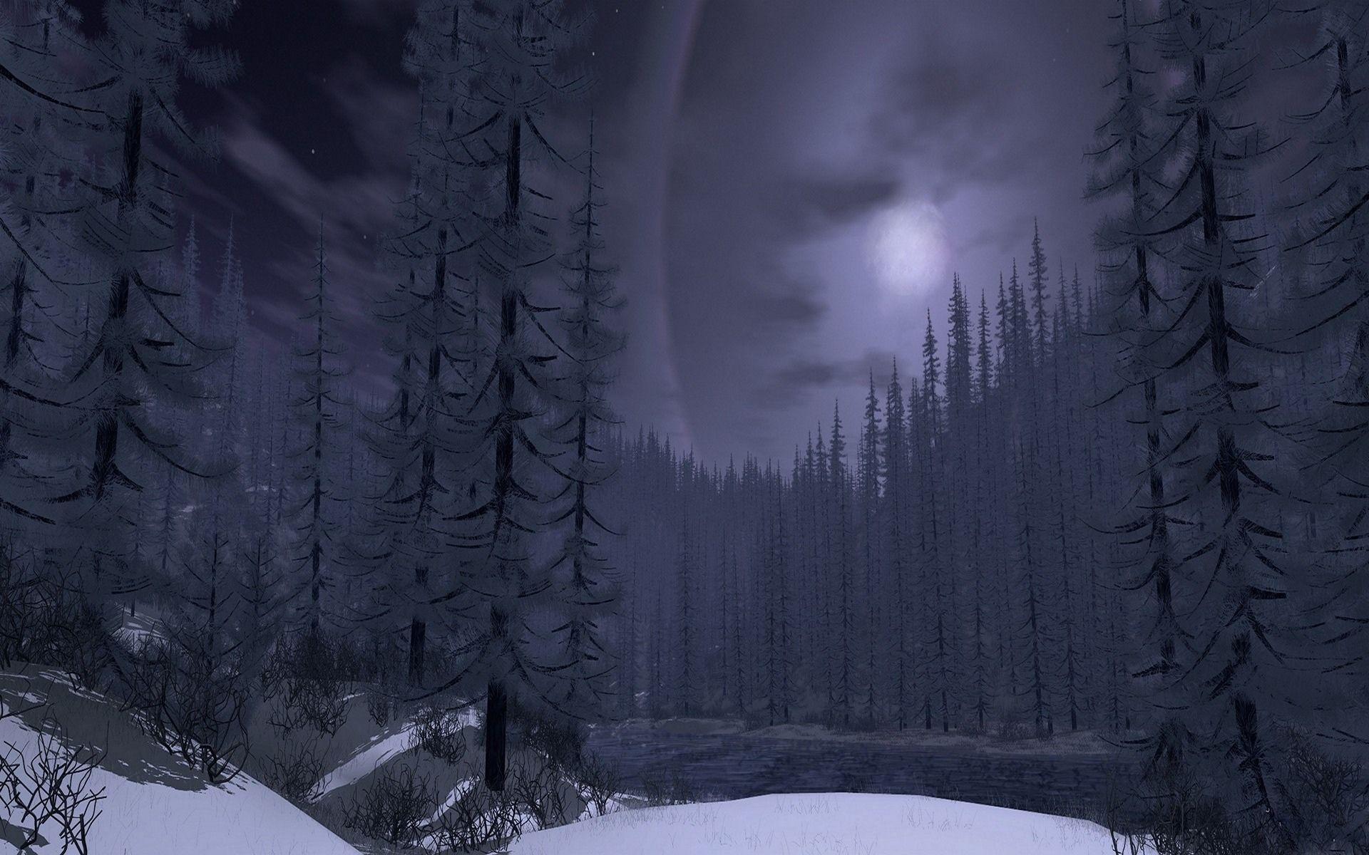 1920x1200 moon, forest, tablet, nature, windows wallpaper, download, cute