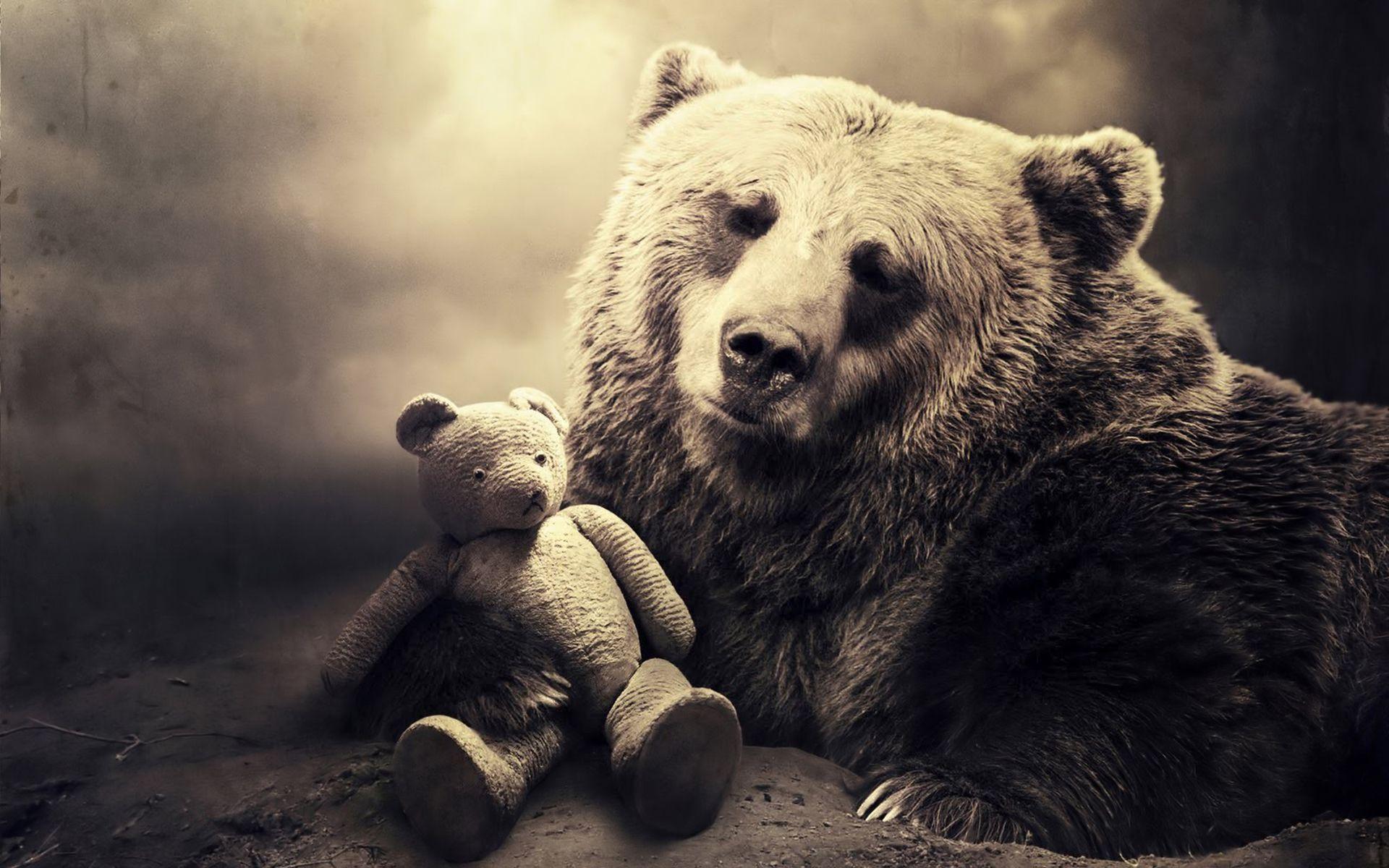 Bear Desktop Wallpapers - Top Free Bear Desktop Backgrounds ...