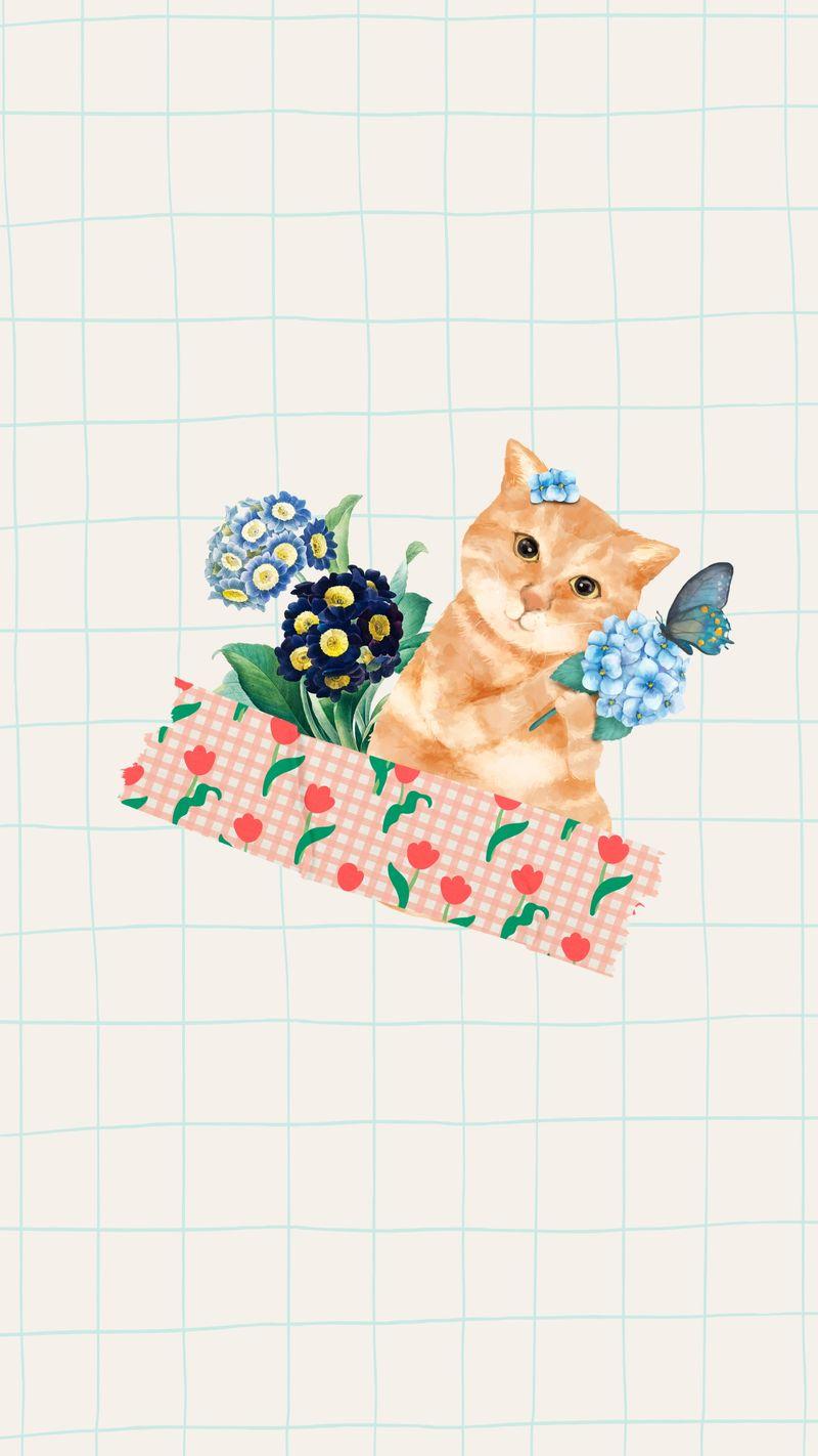 800x1422 Cat Wallpaper Image Wallpaper