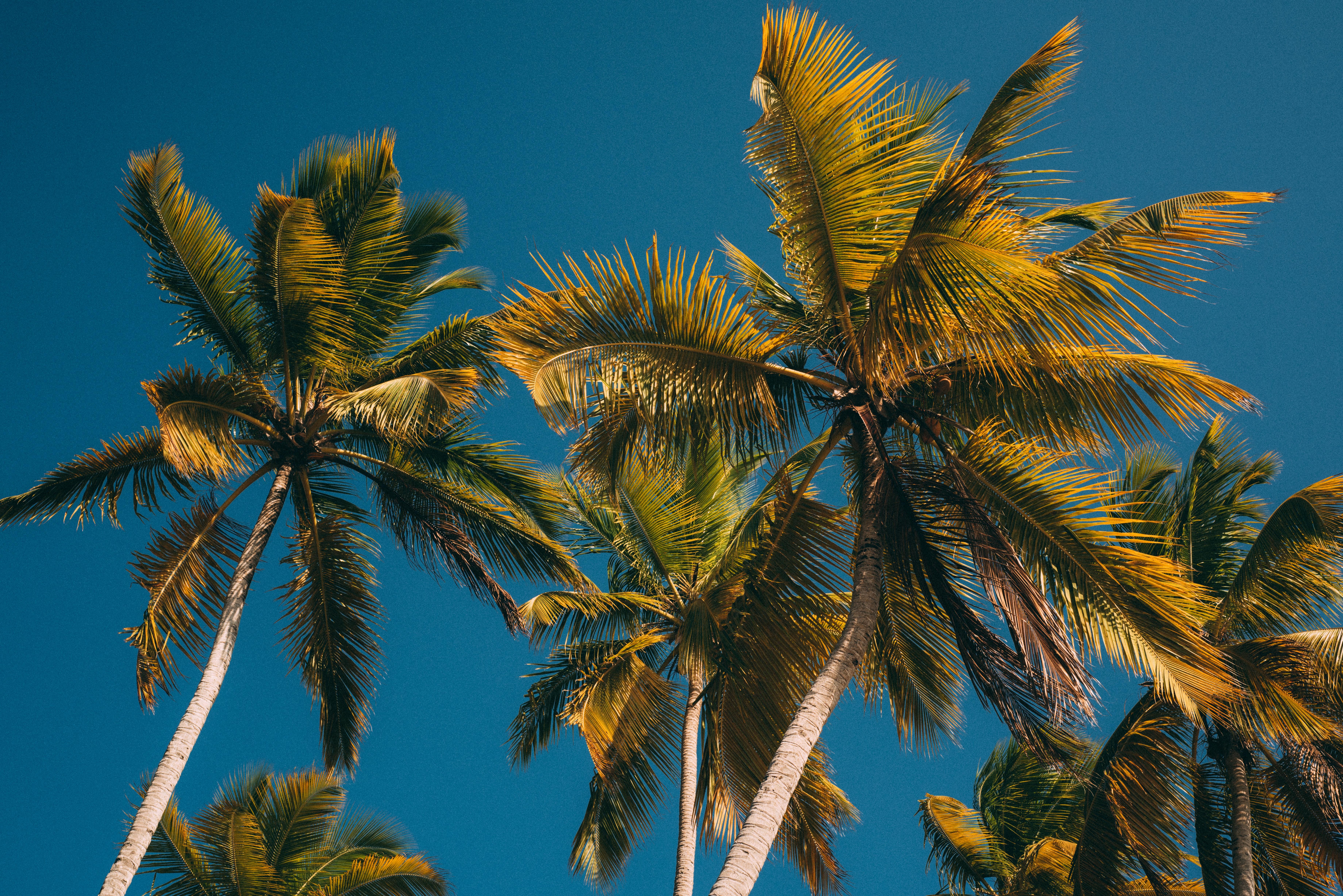 7360x4912 Breeze Photo, Download The BEST Free Breeze & HD Image