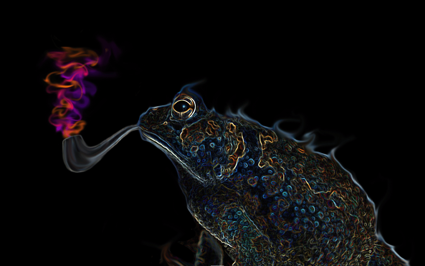 1440x900 Psychedelic Animal Frog Wallpaper:1440x900