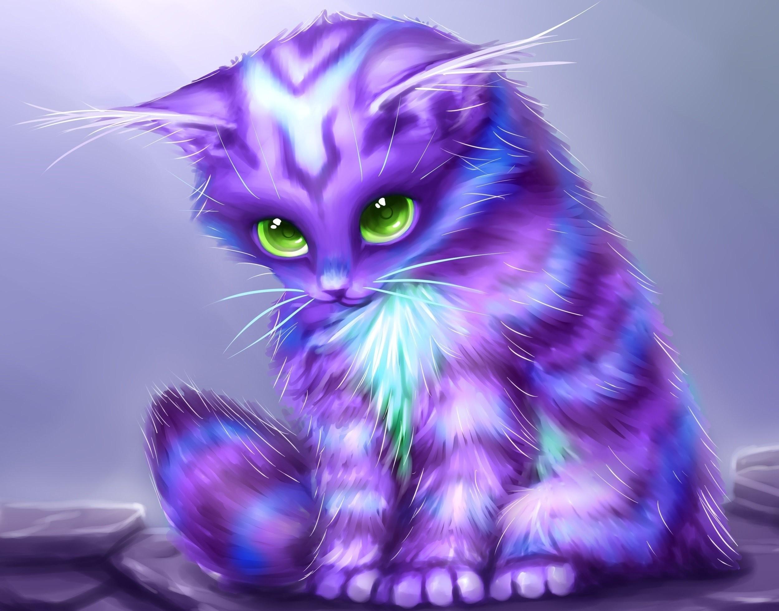 2500x1962 Cats Fantasy cat kitten baby cute psychedelic wallpaper background