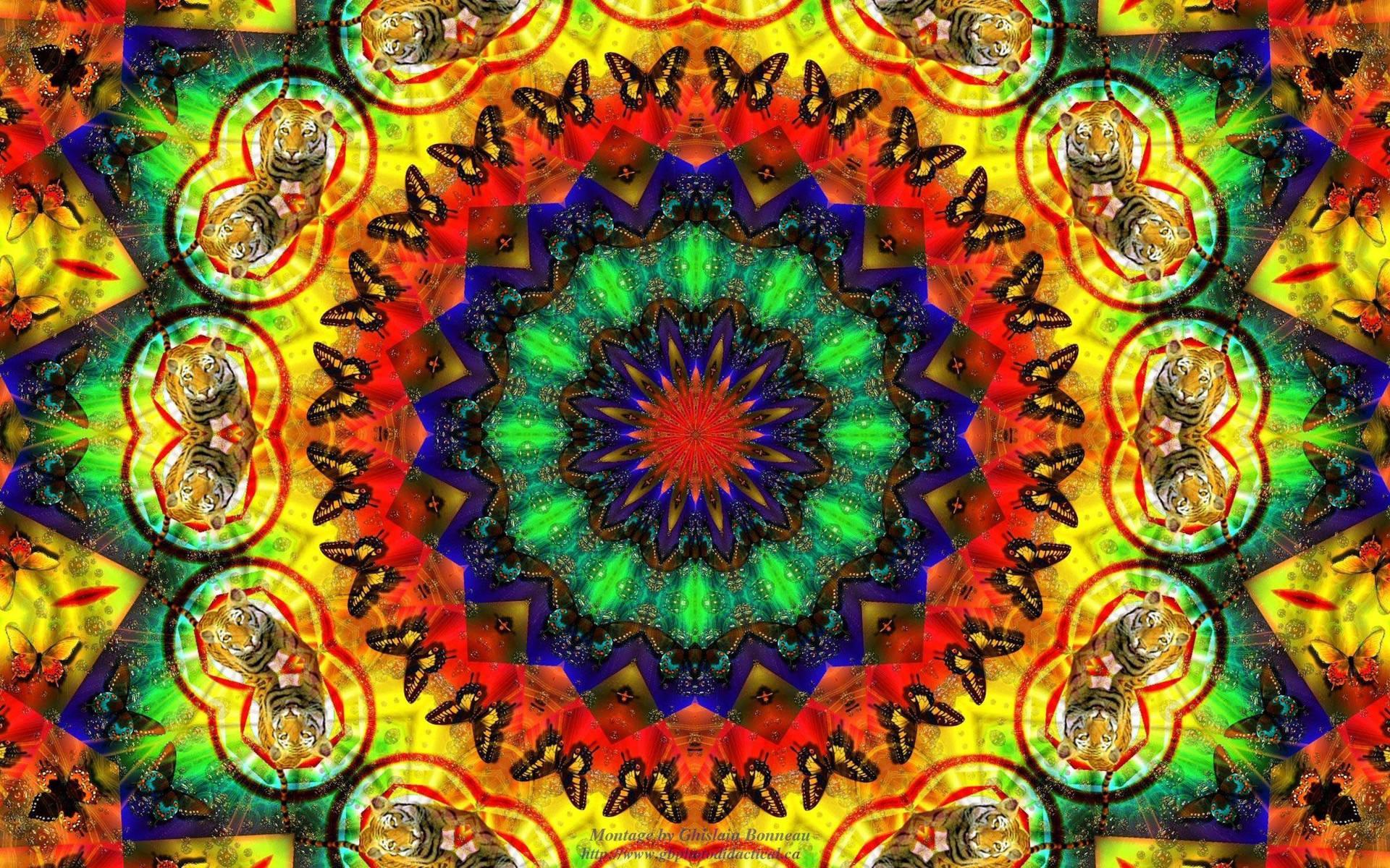 1920x1200 Download Trippy Dark Aesthetic Fractal Animals Wallpaper