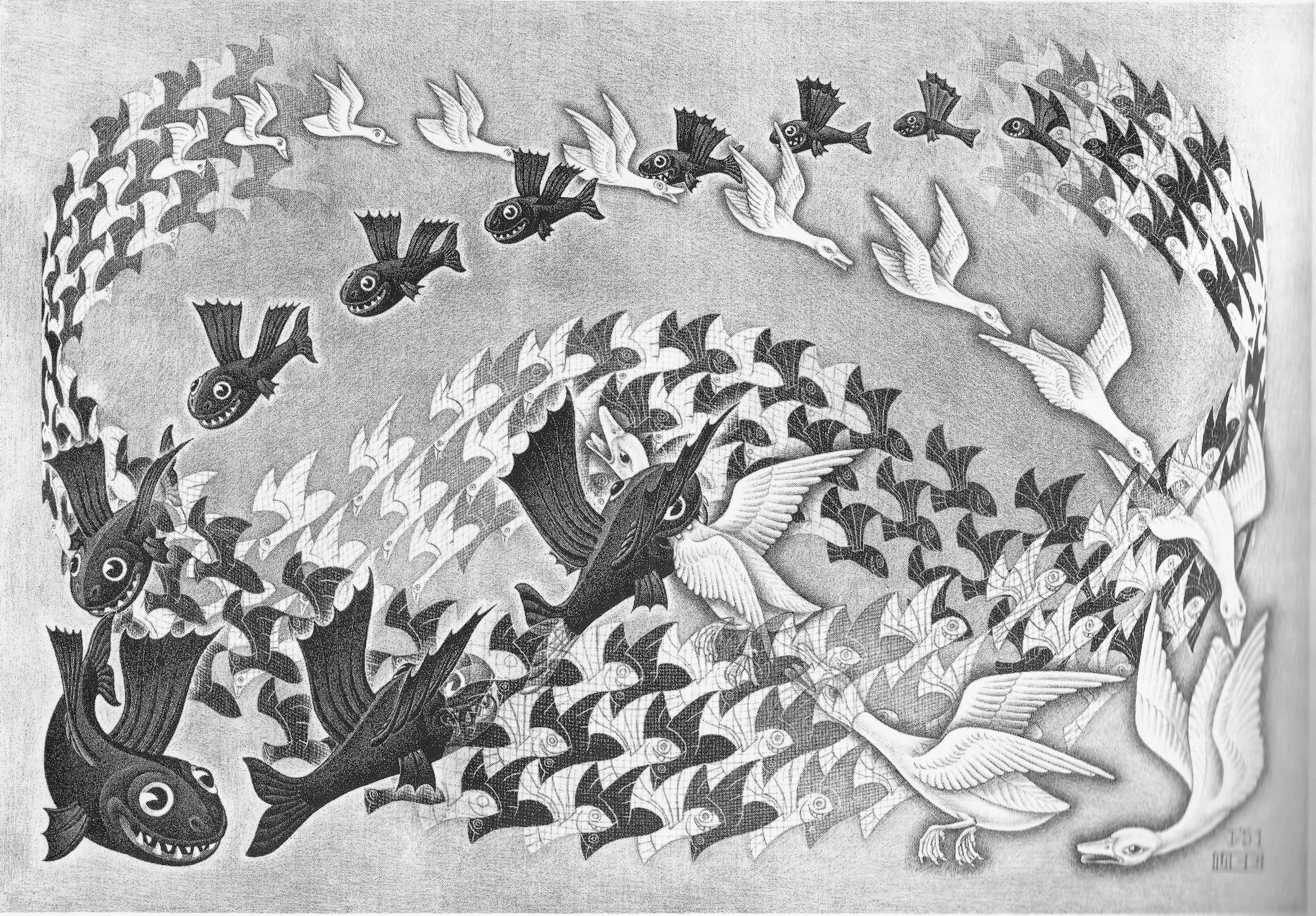 2407x1676 Wallpaper / psychedelic, m, animals, geese, flying, lithograph, fish, m. c. escher, monochrome, bird, c, 1080P, artwork, escher free download
