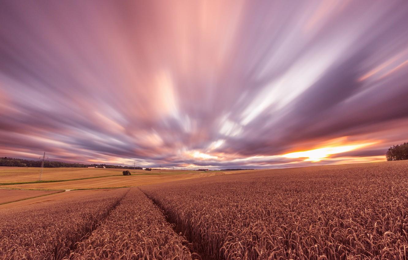 1332x850 Wallpaper wheat, field, sunset, the evening, harvest image for desktop, section пейзажи