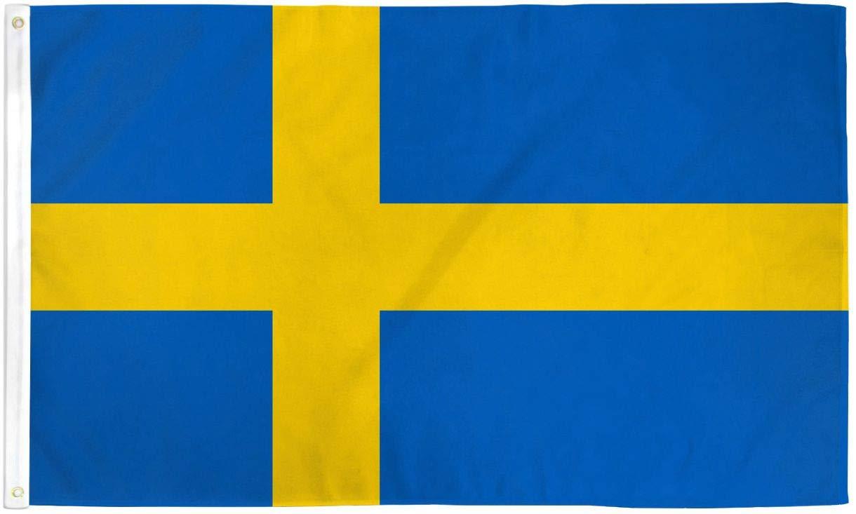 1220x733 Amazon.com : 2x3 Sweden Flag Swedish Banner Country Pennant Indoor Outdoor 24x36 inches : Patio, Lawn & Garden