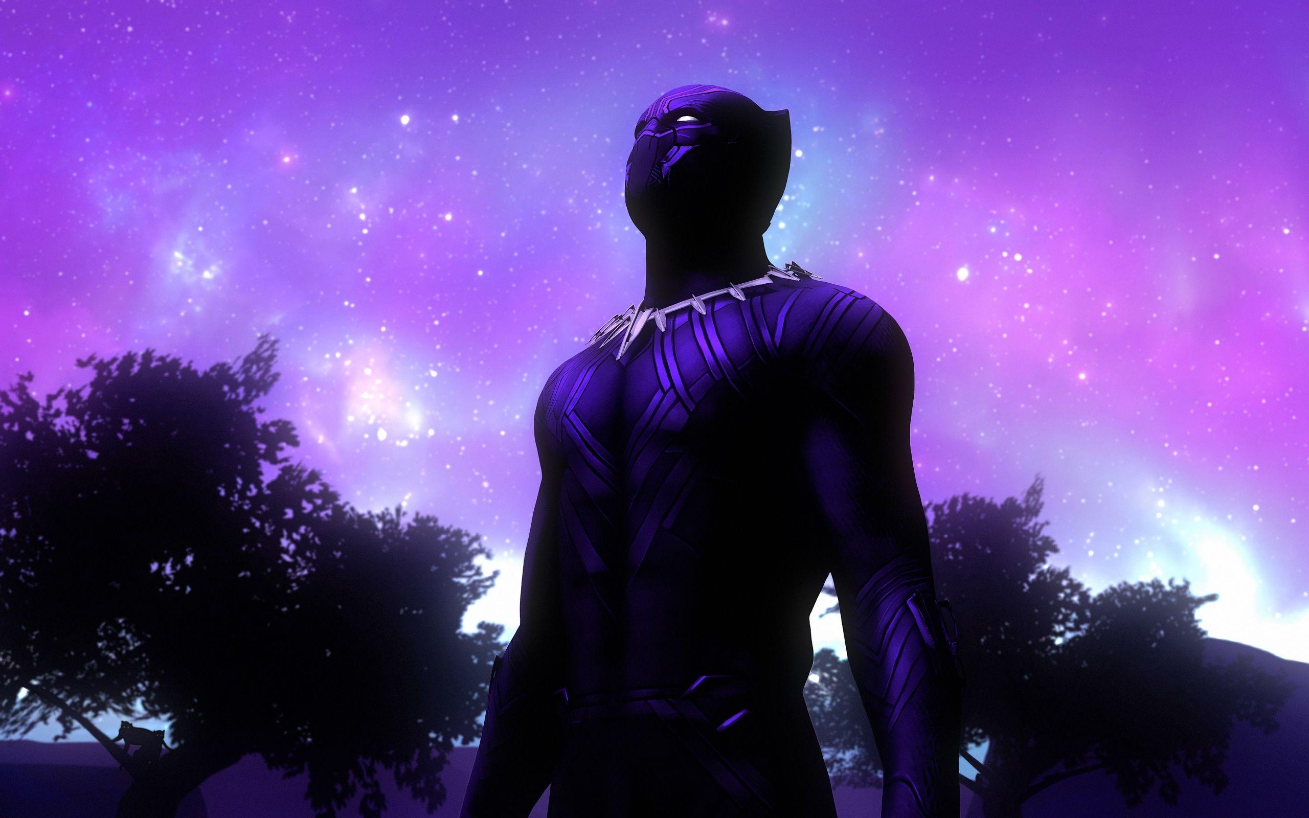 2560x1600 Wallpaper Artistic, Marvel Comics, Black Panther, Movie Desktop