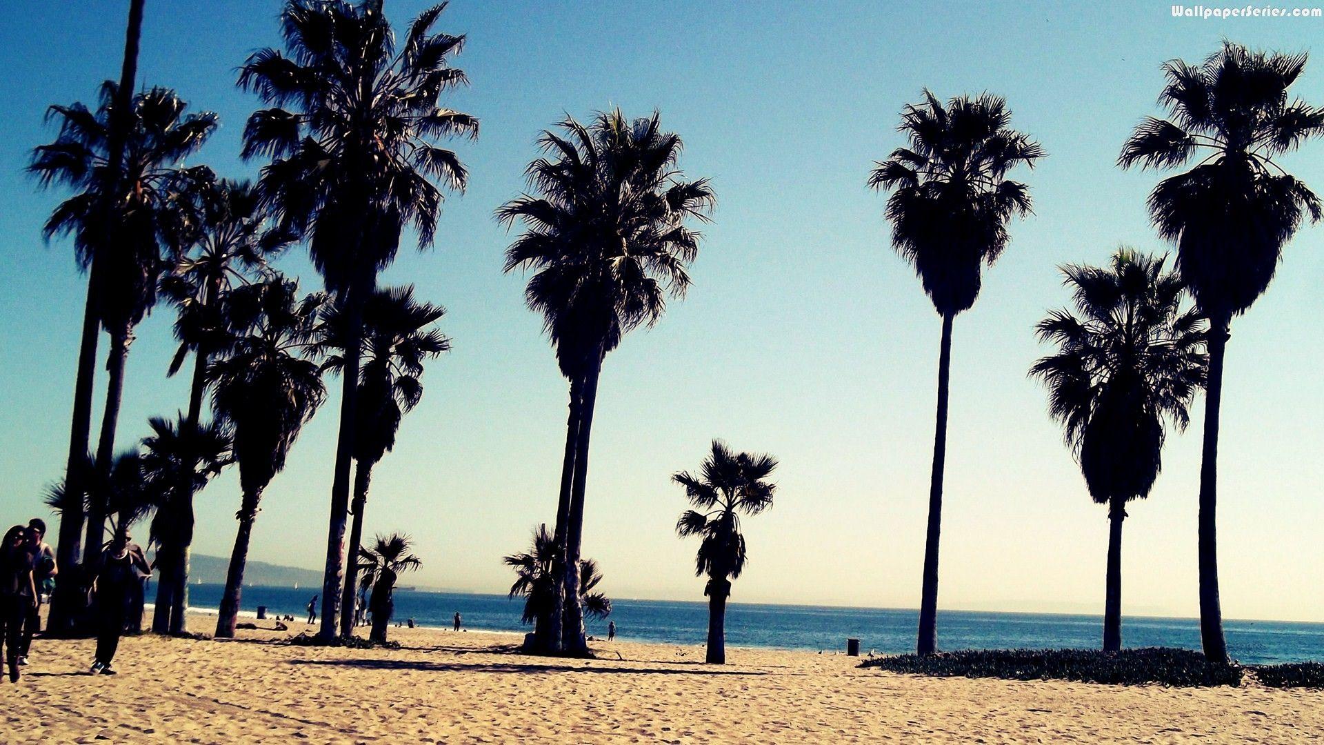 1920x1080 Free download 40 Venice Beach Los Angeles Wallpaper Download [1920x1080] for your Desktop, Mobile & Tablet. Explore Venice Beach Los Angeles Wallpaper. Los Angeles Lakers Wallpaper, Los