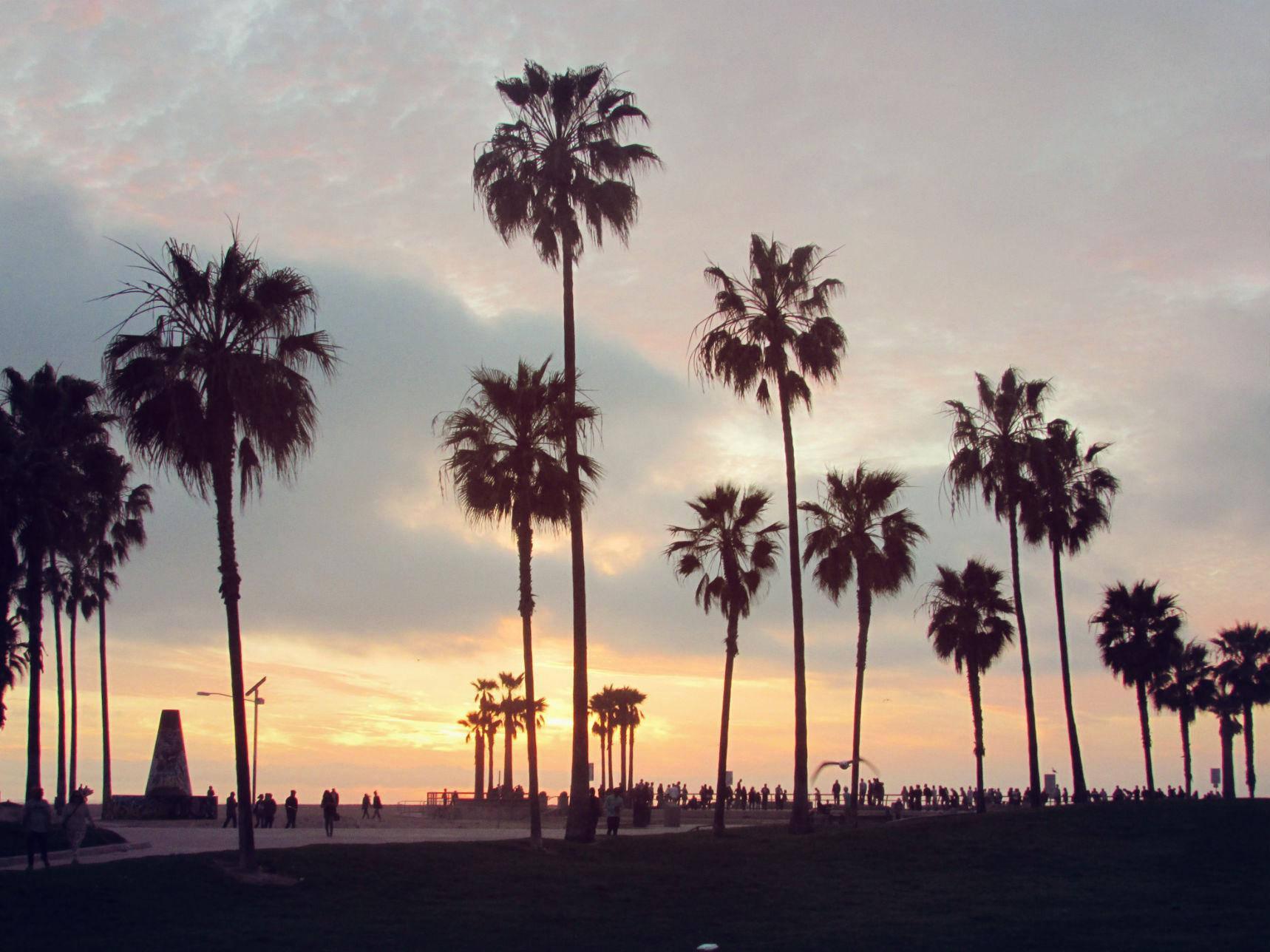 1718x1288 Download Venice Beach Sunset Tall Trees Wallpaper