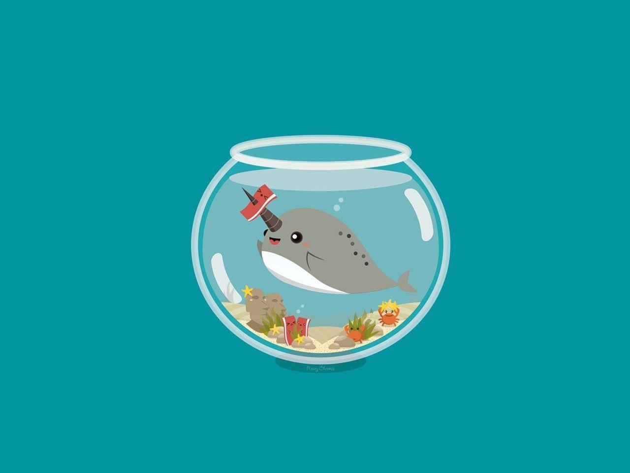 1280x960 Narwhal Wallpaper