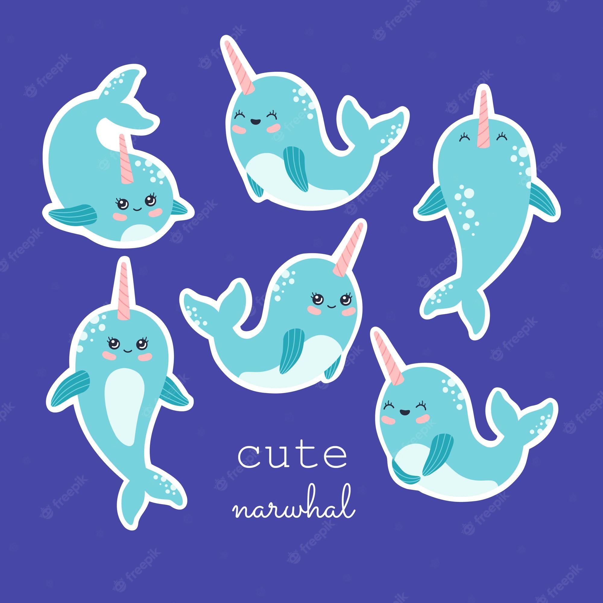 2000x2000 Cute Narwhal Image