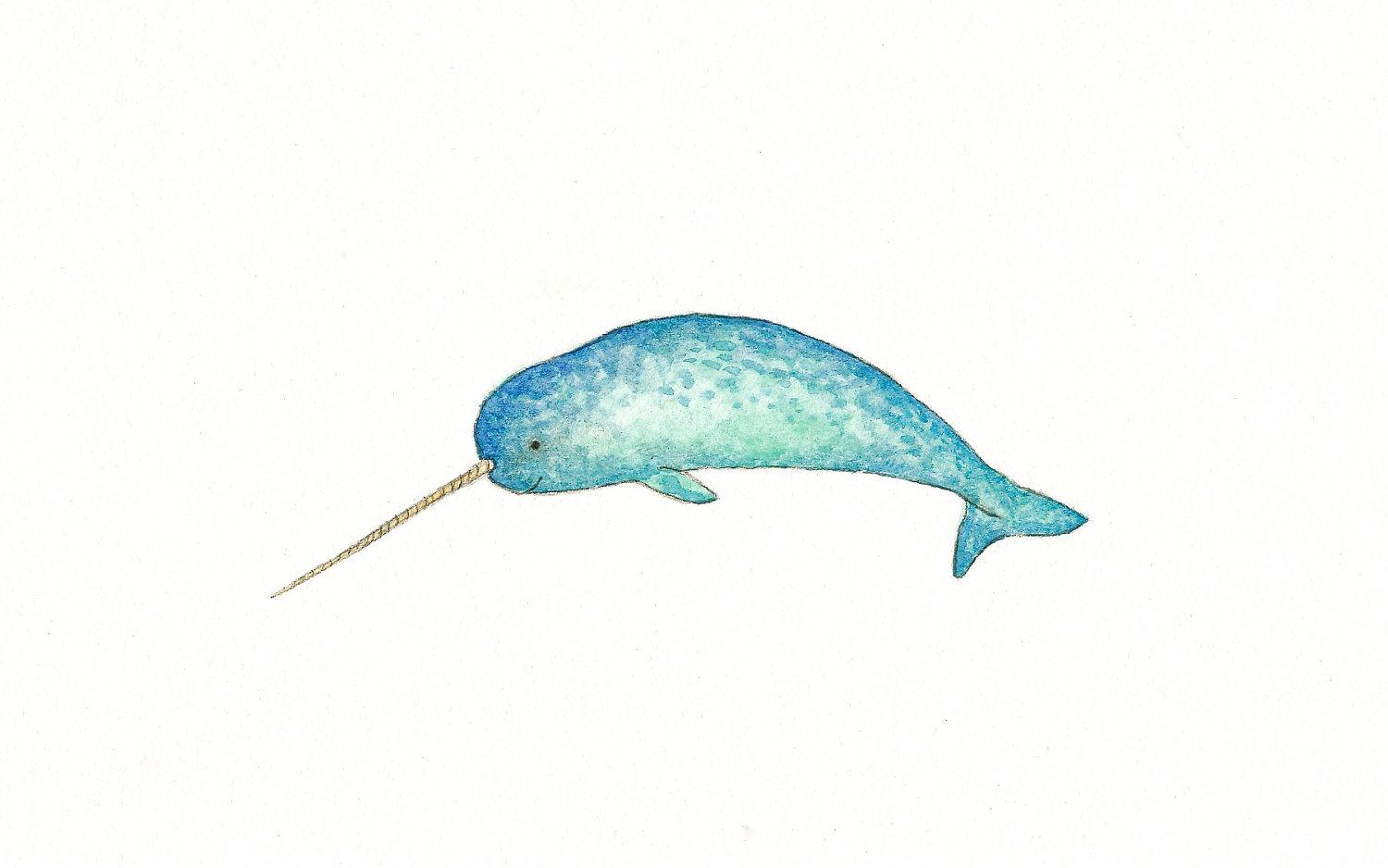 1500x938 narwhal print