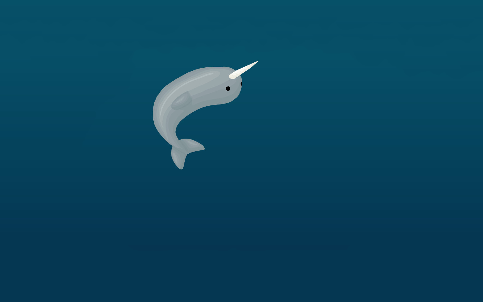 1600x1000 Narwhal Wallpaper