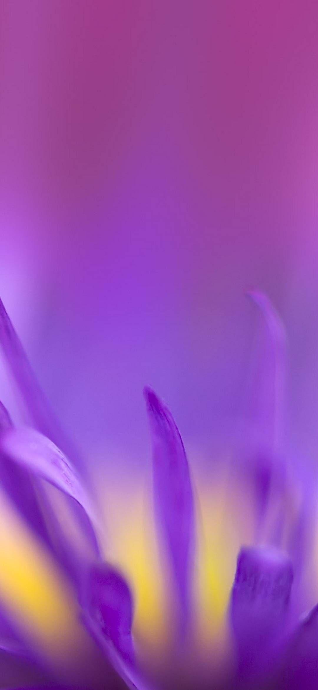 1080x2340 