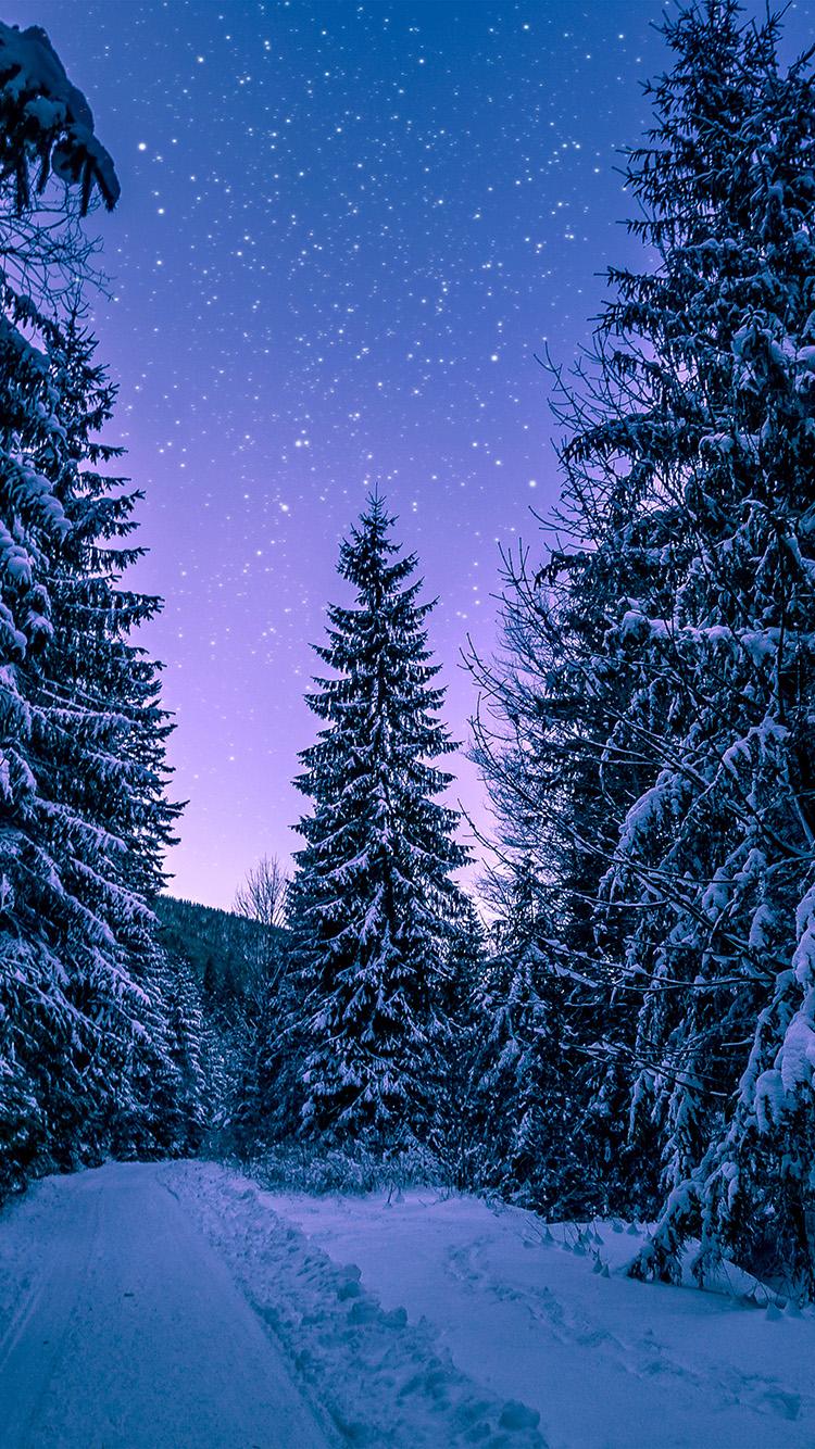 750x1334 snow winter wood tree road night nature