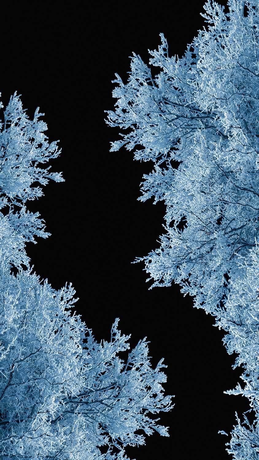 844x1500 Night Snow Trees IPhone Wallpaper HD Wallpaper : iPhone Wallpaper