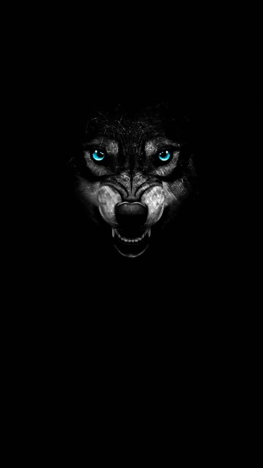 Dark Wolf Eyes Wallpapers Top Free Dark Wolf Eyes Backgrounds