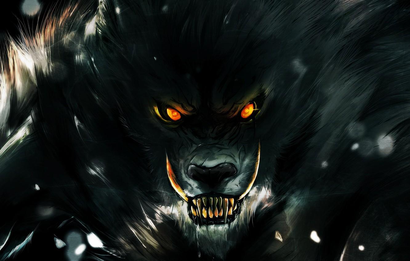 Dark Wolf Eyes Wallpapers Top Free Dark Wolf Eyes Backgrounds