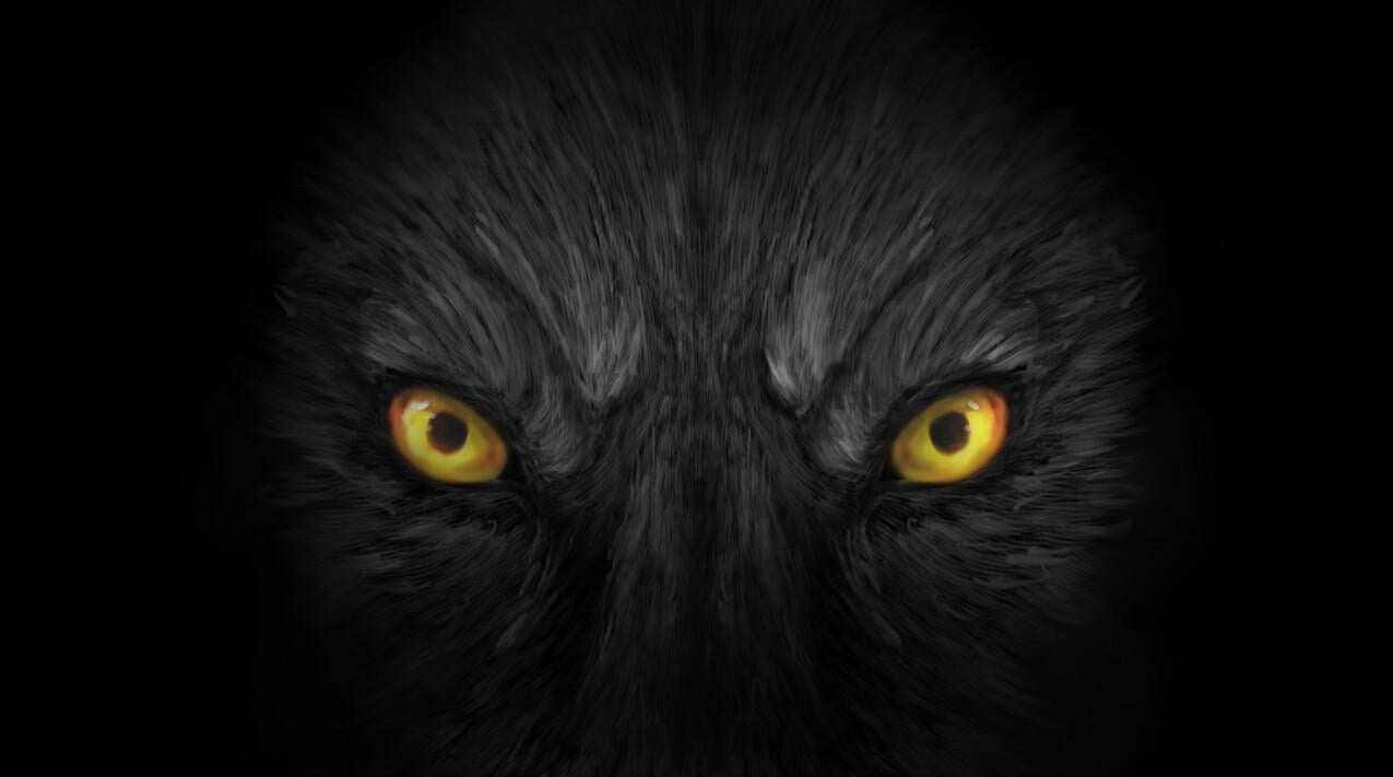 Dark Wolf Eyes Wallpapers Top Free Dark Wolf Eyes Backgrounds Wallpaperaccess 2532