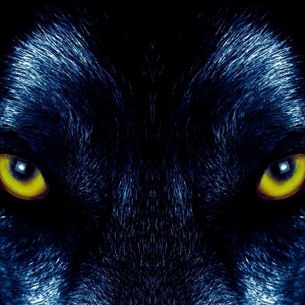Dark Wolf Eyes Wallpapers - Top Free Dark Wolf Eyes Backgrounds ...