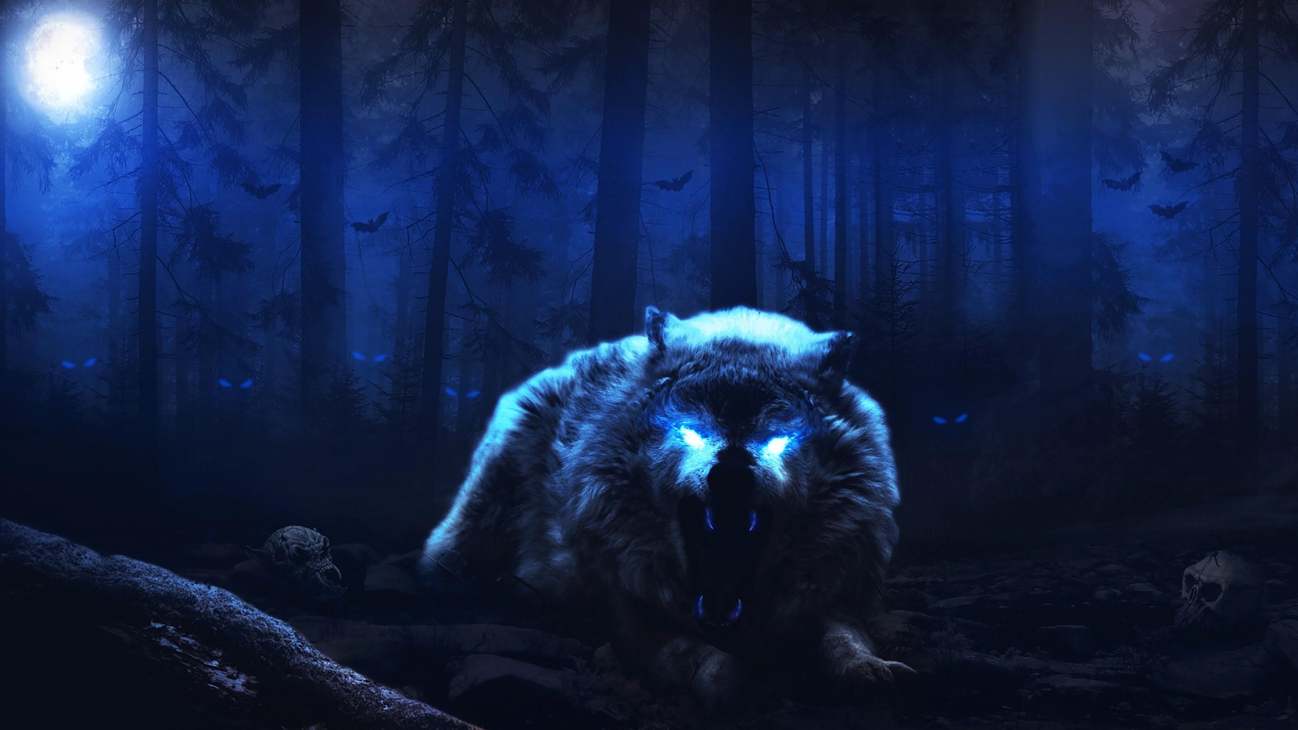 Dark Wolf Eyes Wallpapers Top Free Dark Wolf Eyes Backgrounds
