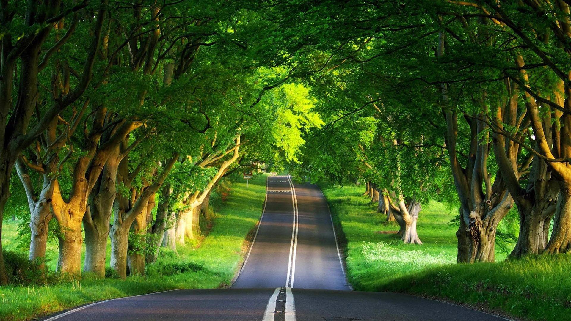 1920x1080 Road Summer Beautiful Natural Scenery Desktop Wallpaper