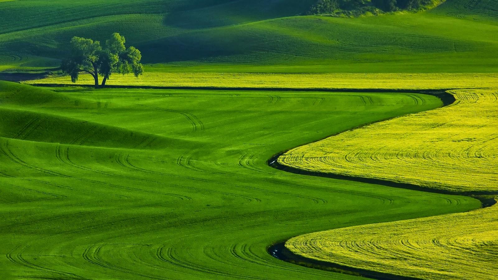 1600x900 Free download HD Nature Wallpaper Free Download For Laptop PC Desktop Background [1600x900] for your Desktop, Mobile & Tablet. Explore Wallpaper by Size. Large Size Background, Ps3 Wallpaper Size, Wallpaper Size