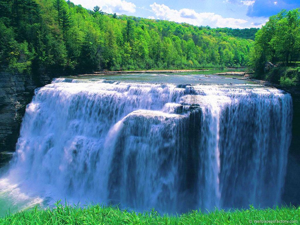 1024x768 Free download Waterfalls Nature wallpaper Crazy Frankenstein [1024x768] for your Desktop, Mobile & Tablet. Explore Wallpaper by Size. Large Size Background, Ps3 Wallpaper Size, Wallpaper Size