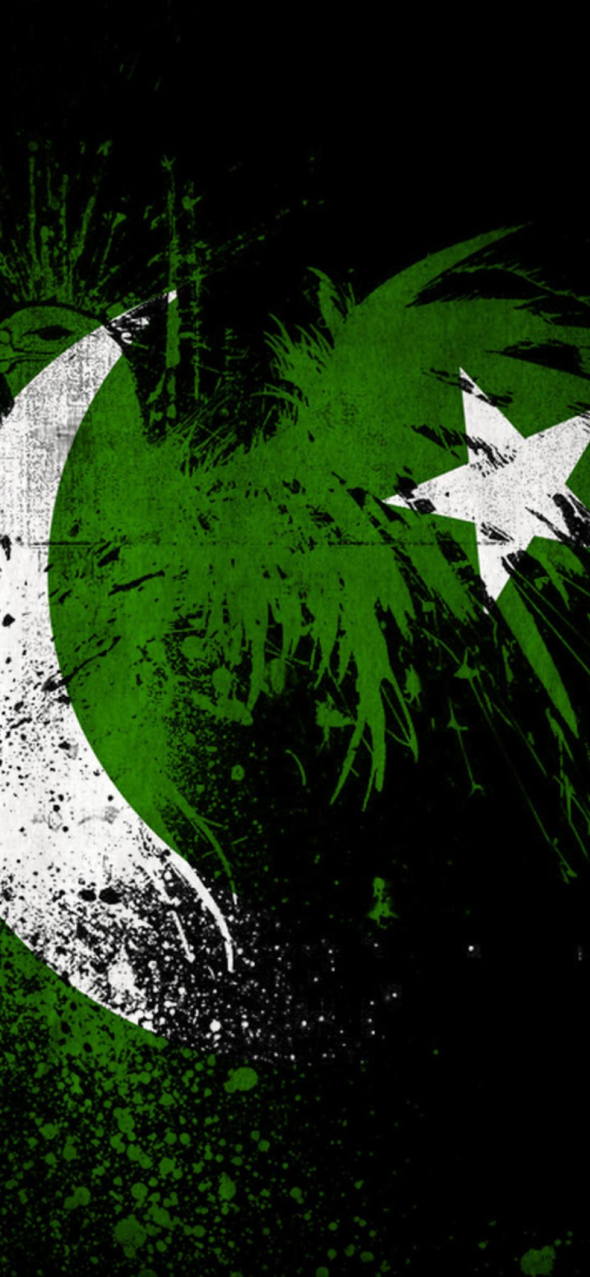 1170x2532 Pakistan Flag Wallpaper for iPhone XR