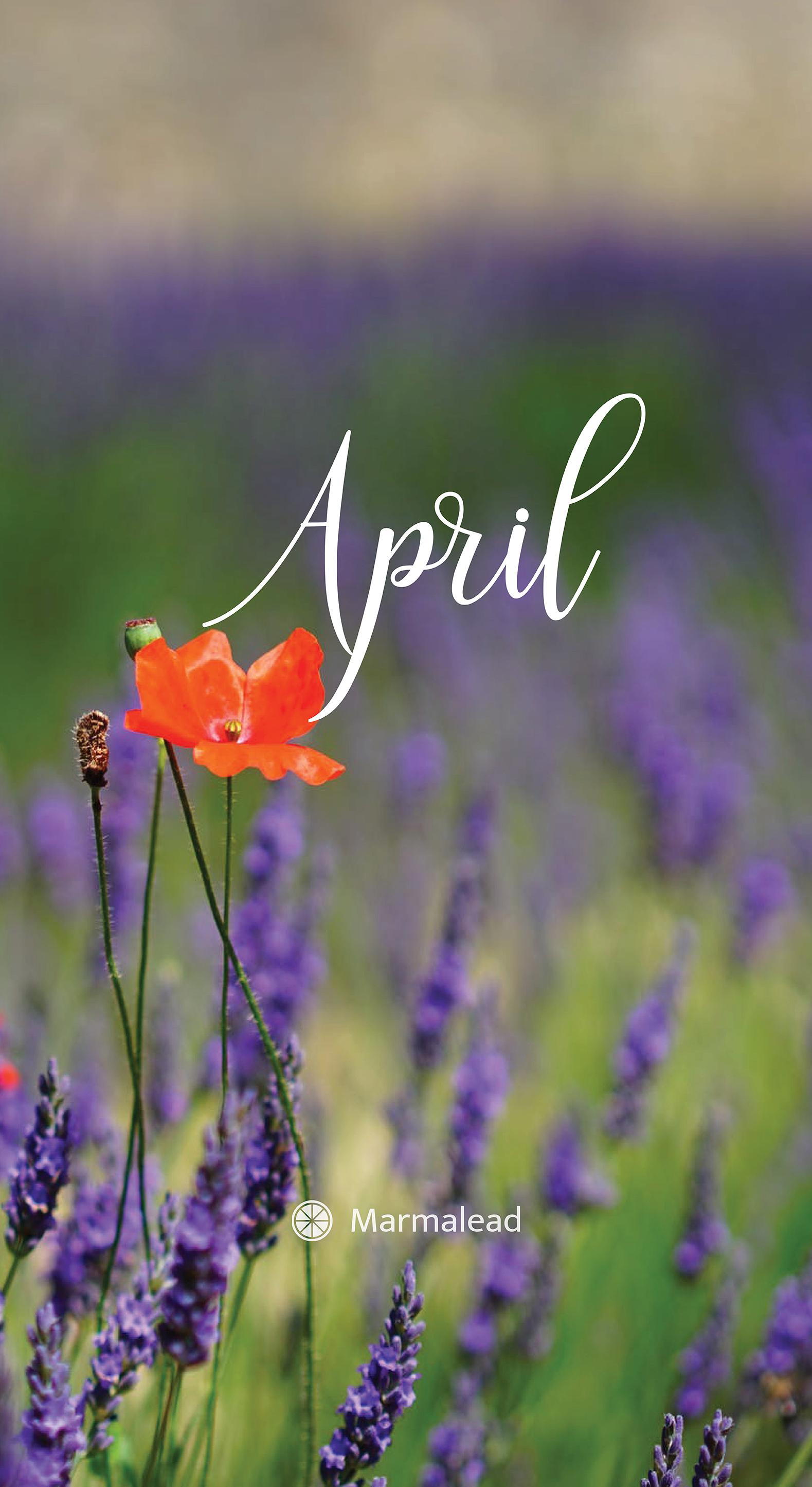 1579x2890 April 2019 Free Desktop Calendar Wallpaper From Marmalead