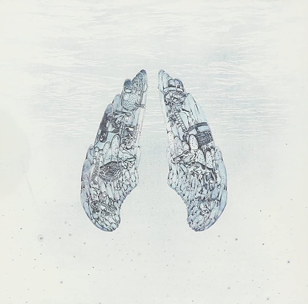 1000x988 COLDPLAY STORIES : LIVE 2014 (WITH DVD).com Music