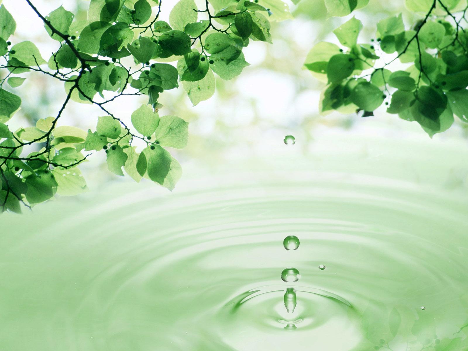 1600x1200 Water Drop Wallpaper