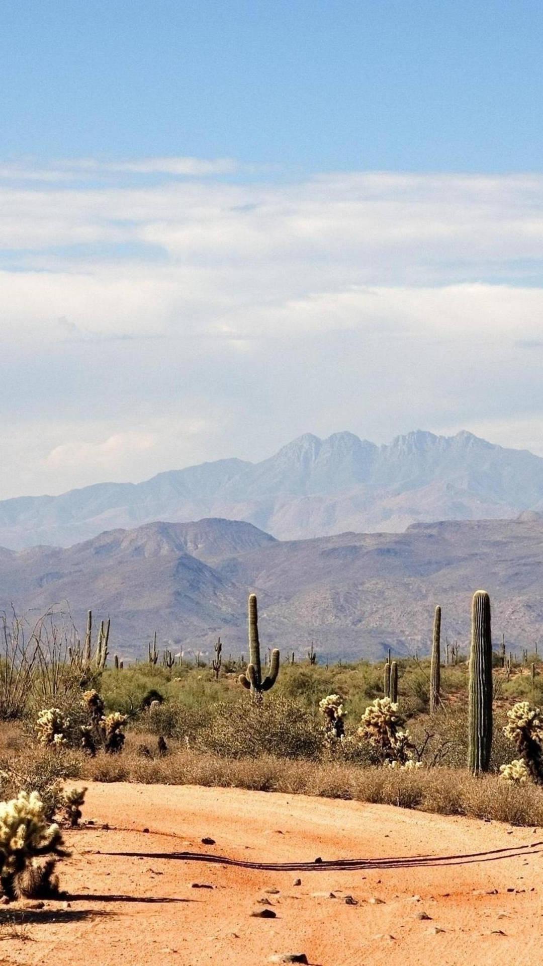 1080x1920 Download Vast View Of Arizona Desert Wallpaper