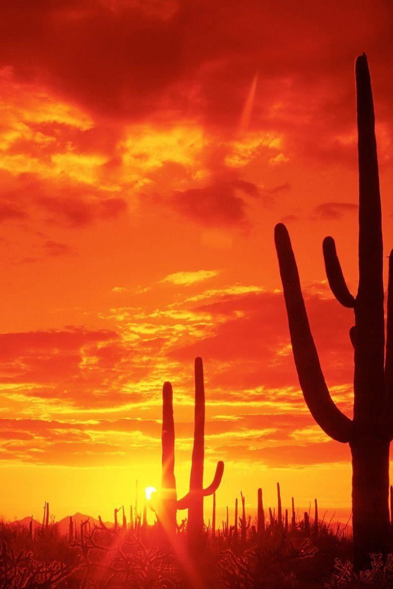 800x1200 Arizona Desert. Aesthetic wallpaper, Nature, Beautiful places
