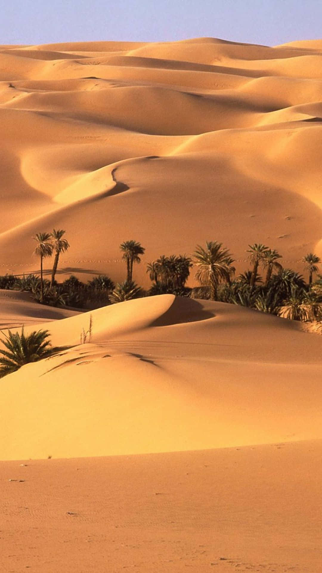 1080x1920 Free Desert iPhone Wallpaper Downloads, Desert iPhone Wallpaper for FREE