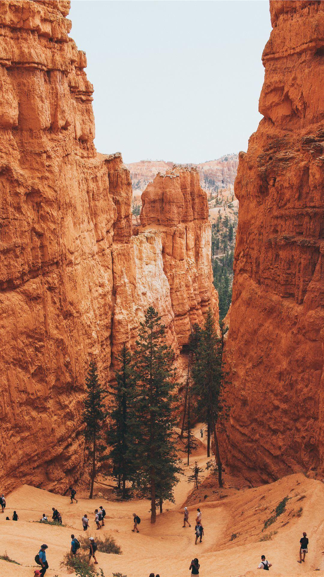 Grand Canyon iPhone Wallpapers Top Free Grand Canyon iPhone — free download