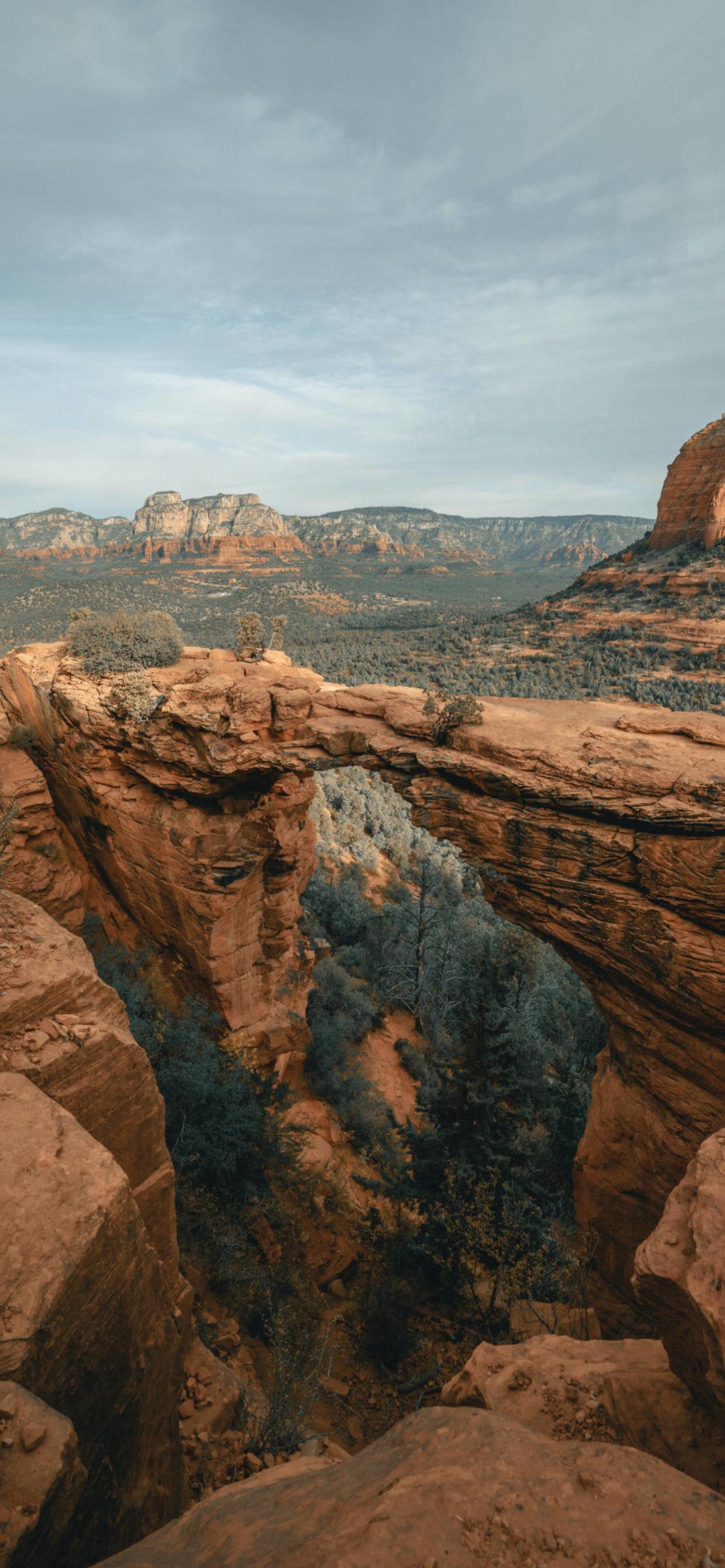 1183x2560 Arizona Wallpaper for iPhone Pro Max, X, 6