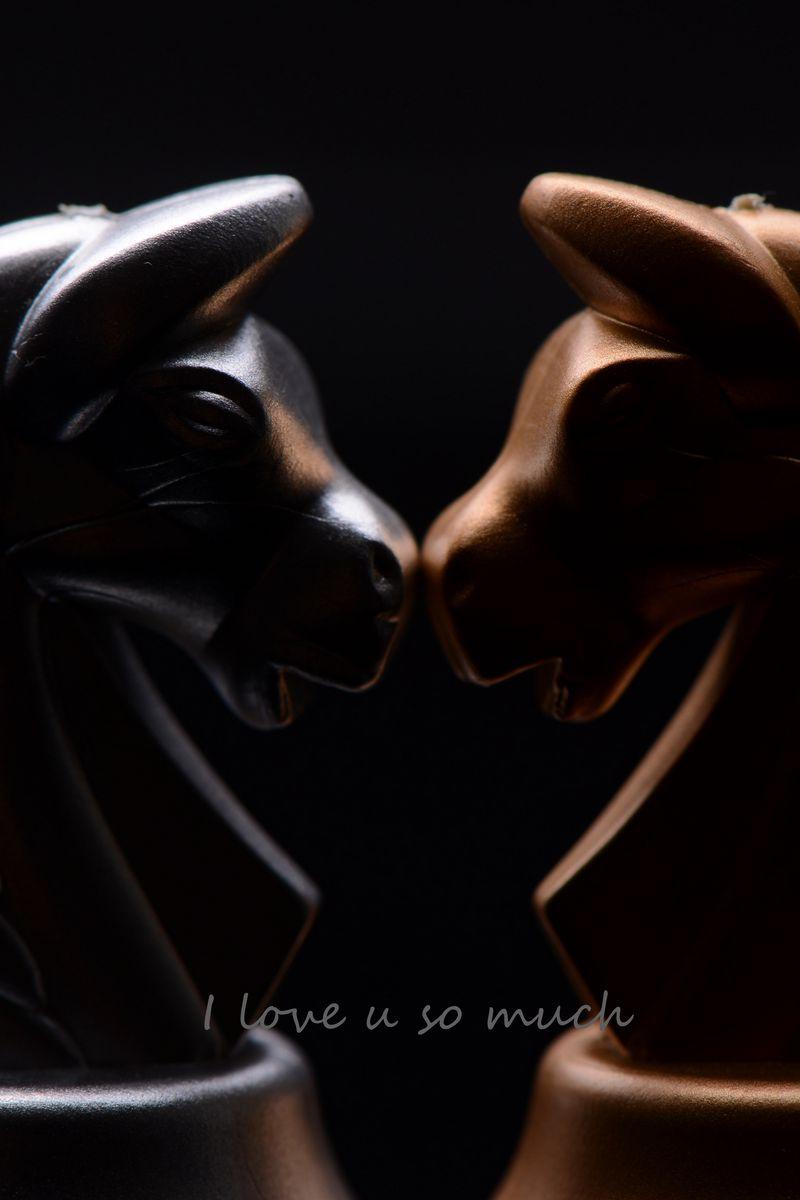800x1200 Download Wallpaper 800x1200 Chess, Knight, Inscription, Love Iphone 4s 4 For Parallax HD Background