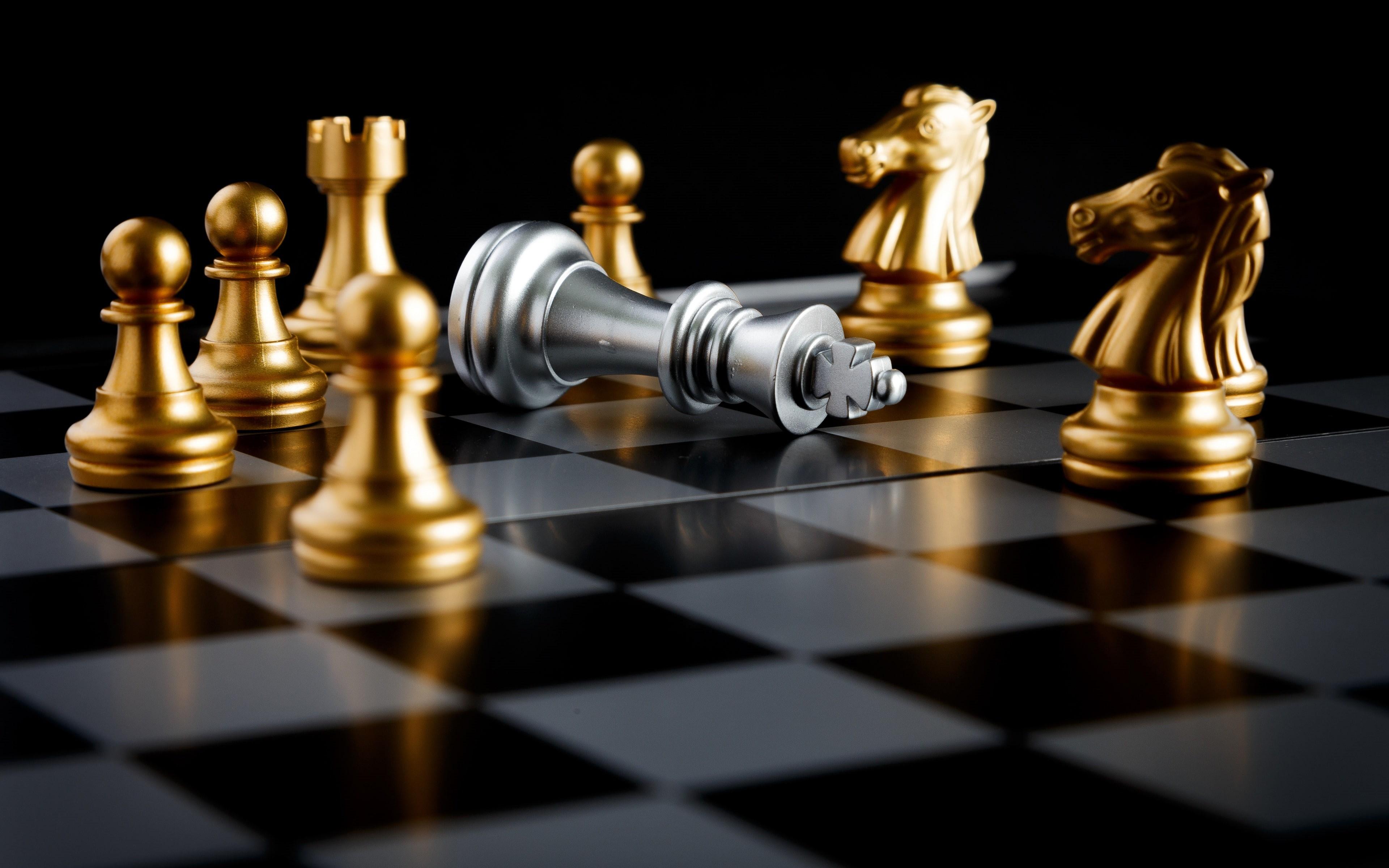 Chess Knight Wallpapers - Top Free Chess Knight Backgrounds