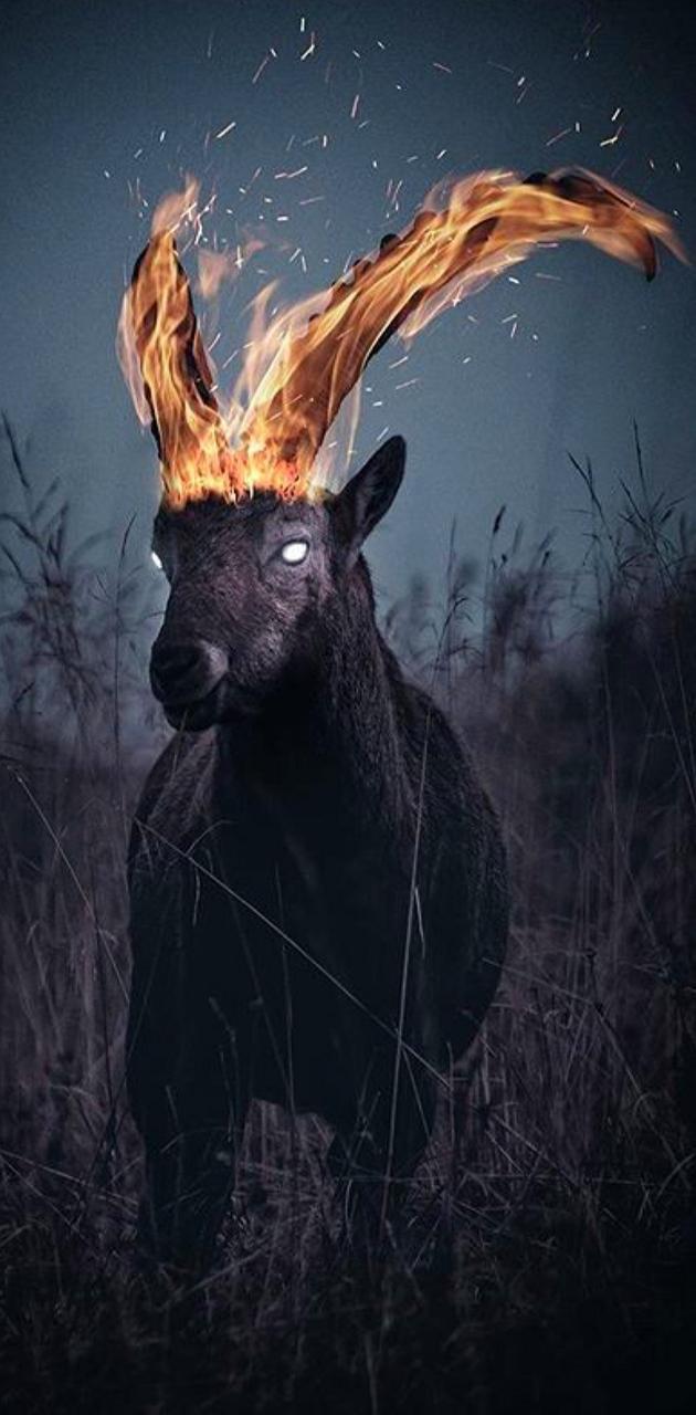 Cool Goat Wallpapers Top Free Cool Goat Backgrounds WallpaperAccess