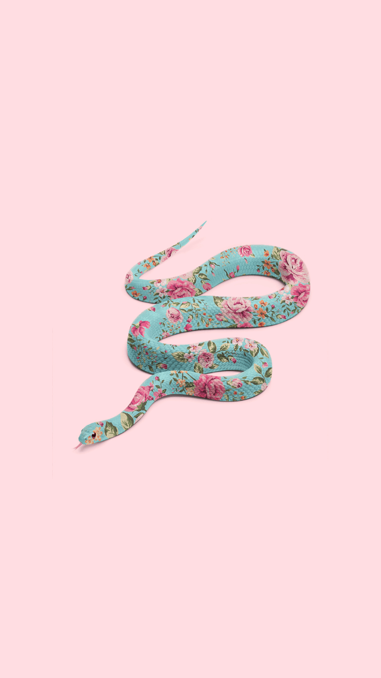 Pink Snake iPhone Wallpapers - Top Free Pink Snake iPhone Backgrounds