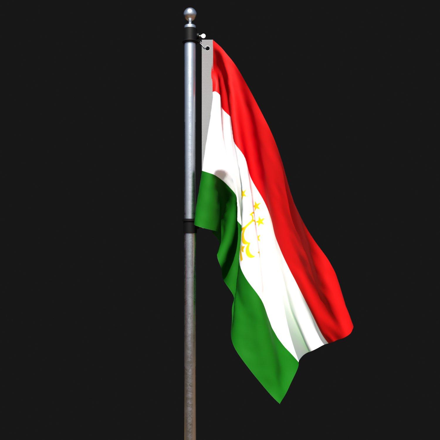 1500x1500 Flag of tajikistan 02 3D Model in Decoration 3DExport
