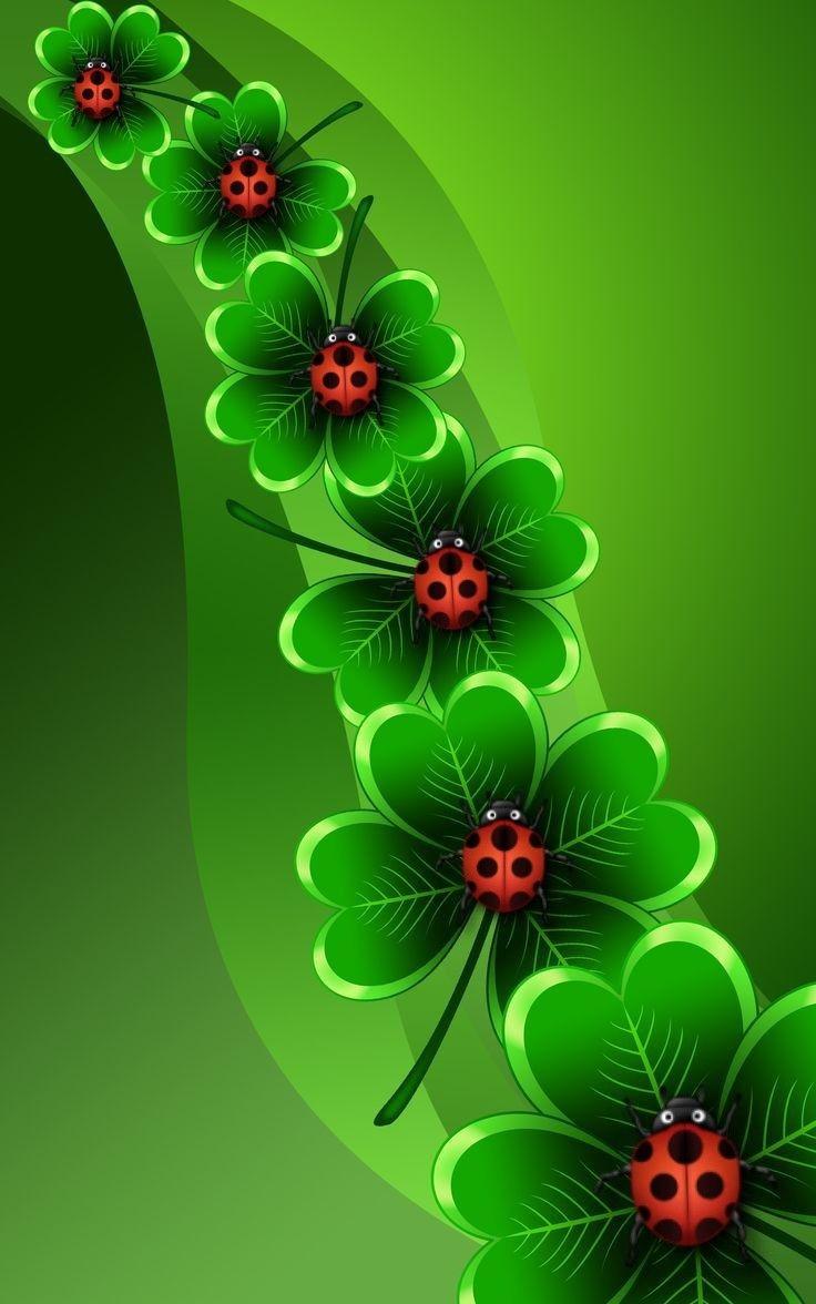 736x1176 Four leaf clover. Flower iphone wallpaper, Flower phone wallpaper, Lucky wallpaper