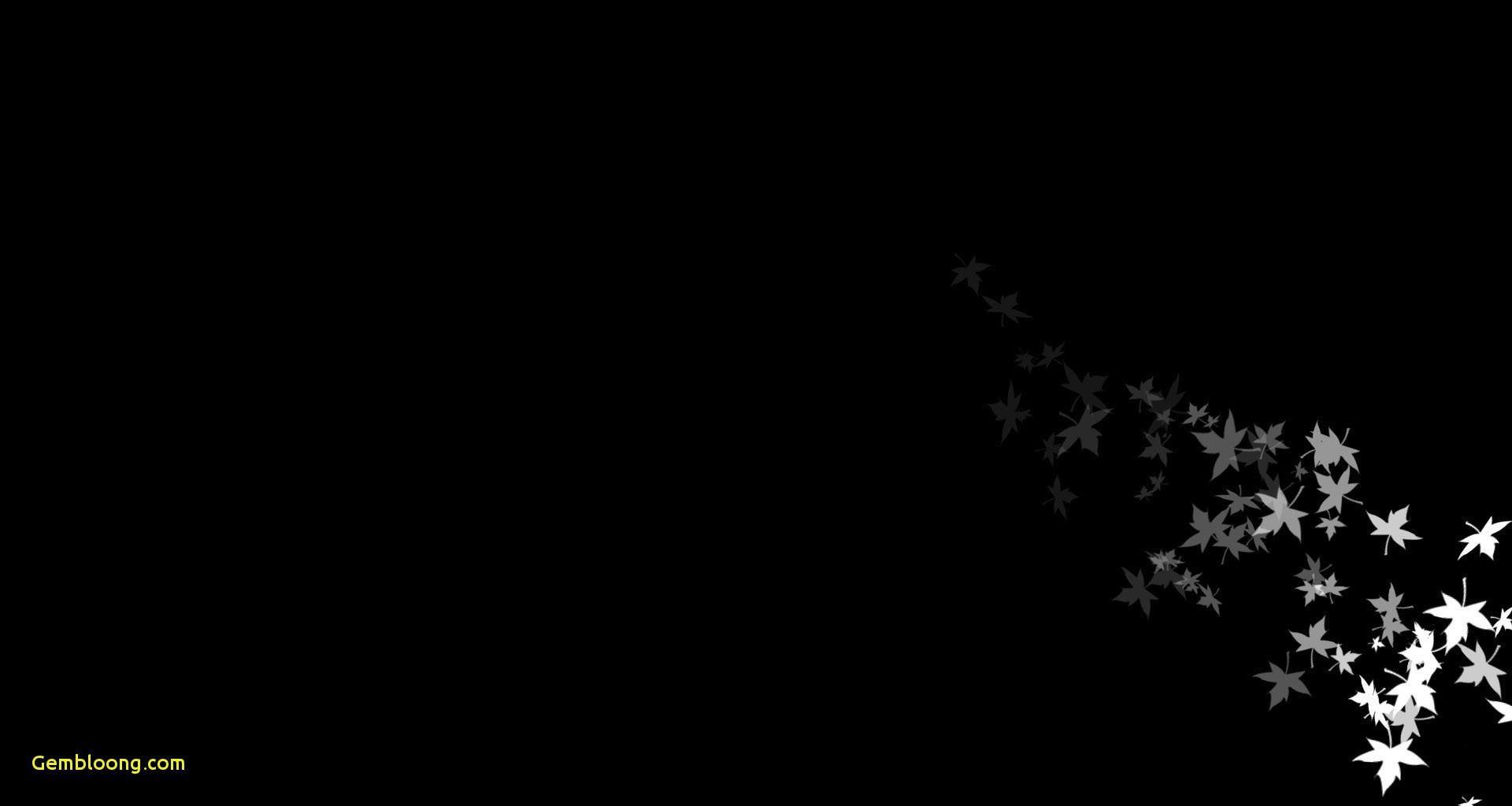 1920x1024 Primary Aesthetic Wallpaper