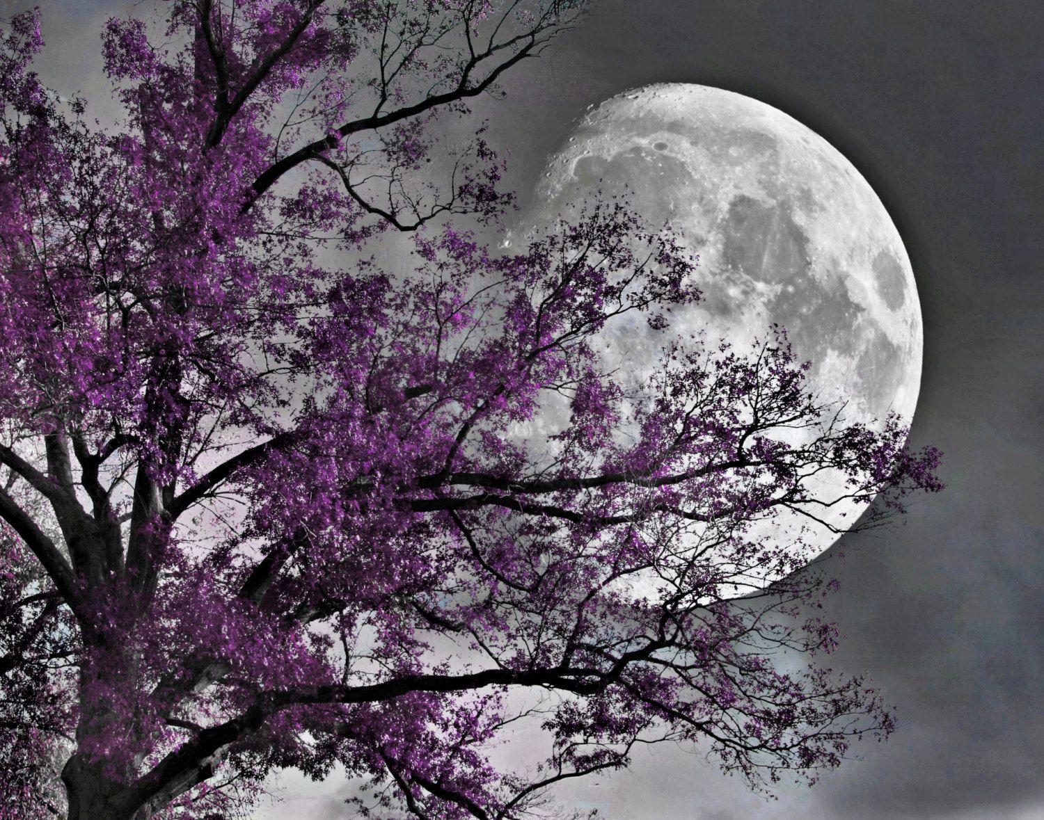 1500x1179 Elegant Purple And Gray Wall Art Black White Photography