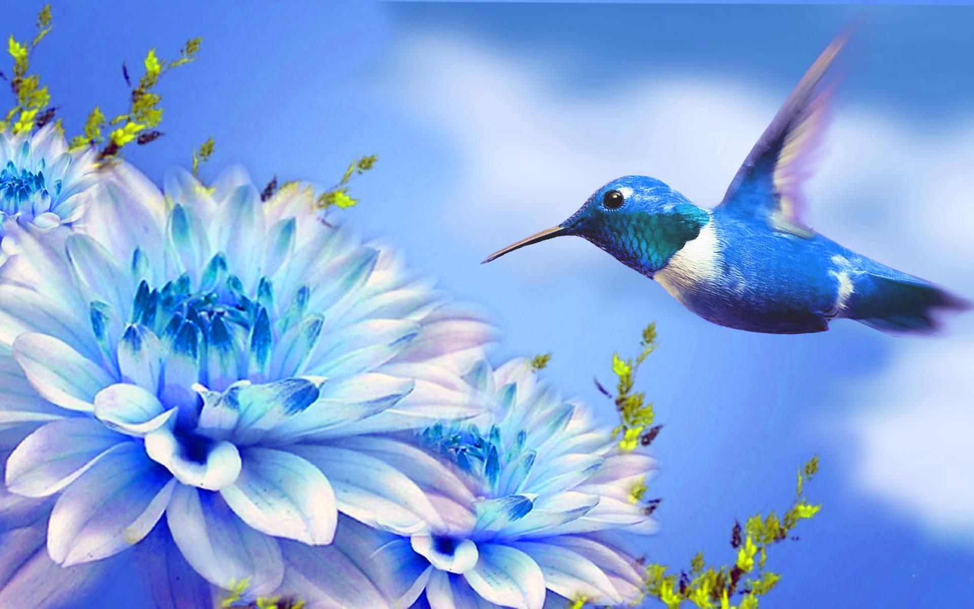 1920x1200 Download Hummingbird And Flower Digital Art Wallpaper